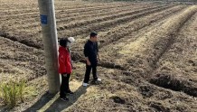“浙”里2000亩水稻用上“私人定制”肥