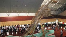 美景山东｜诸城恐龙国家地质公园：世界最大恐龙化石埋藏地