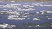 冬日美景——母亲河上的珍珠玛瑙