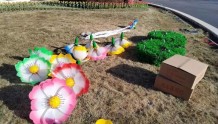 五彩气球挂树梢！金川区街景亮化迎新春