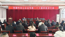 河津市召开非公企业党组织党的二十大精神宣讲大会