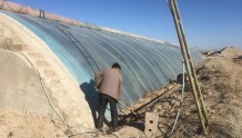 瓜州县广至藏族乡：老旧温室改造助推设施农业提质增效