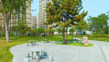 “口袋公园”为居民 提供绿色休闲空间