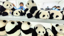 牡丹区都司镇：熊猫玩偶俏销市场