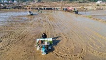 岳阳县：推广小型农机提升丘陵山区农业机械化水平