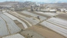 甘肃会宁：大力发展现代农业   保障粮食安全生产