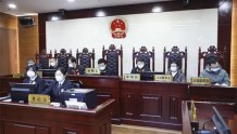 北京首例！5名非法狩猎者被判惩罚性赔偿并责令赔礼道歉