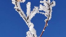 天然冰雪生宣画，一抹晴明映眼球 —— 冬日印象