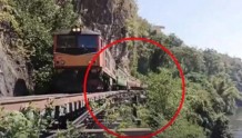 游客在泰国“死亡铁路”坠车身亡，当时正探出身体自拍
