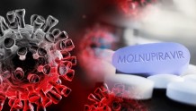 《柳叶刀》： Molnupiravir未降低新冠住院和死亡风险？