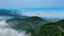 龙泉山国家储备林可以为百姓带来什么？