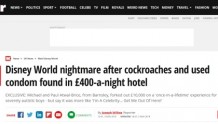 死蟑螂安全套 英国家庭在美国迪士尼酒店遇“煎熬”