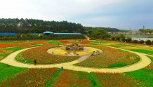 2020年1月1日起 湖南省植物园正式免费开放