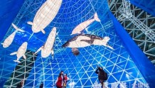 上海科技馆新年“鲸”喜不断