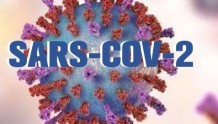高福、石正丽等呼吁重新命名新病毒：“SARS-CoV-2这一命名具有误导性”