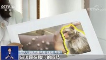 台湾地区出现首例猴痘确诊病例