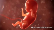 浙江省首例！本该安全的孕28周，腹中宝宝却收到“病危”通知：小小生命如何保全？