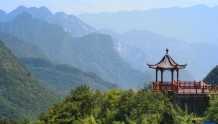 新华全媒+丨探访重庆五里坡国家级自然保护区