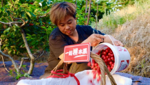 电商版“舌尖上的中国”上线啦！“寻鲜中国好农货”公益助农活动启动