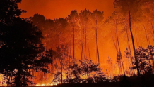 法国热浪致西南部山火持续 过火面积达2700公顷 超6000人被紧急疏散