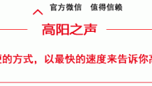 河北省政府对高阳县政府履行教育职责评价反馈会召开