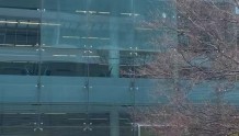 堪培拉机场突发枪击事件！澳媒照片显示，航站楼玻璃窗上有3个弹孔