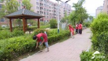 创建全国文明城市丨潍坊市坊子区志愿者助力人居环境整治 文明成果惠及民生