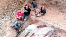 葡萄牙男子在自家后院发现欧洲最大恐龙遗骸