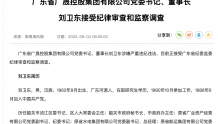 广东广晟集团党委书记刘卫东被查 六天前曾发表党风廉政内容讲话