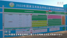 新华全媒+｜2022年国家玉米新品种核心展示示范观摩活动在河南举行