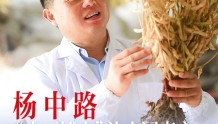 “大豆博士”让中国南方渐成大豆主产区