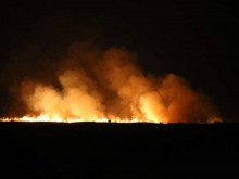 蒙古国草原火蔓延至呼伦贝尔市边境线 明火已被扑灭