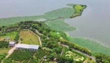 喜迎二十大·我的家乡美丨武汉最大湿地公园，走起！