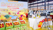 广东农垦携手阿里巴巴 把“菠萝的海”与“火龙果海”搬进数字产地仓
