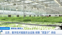 数字技术赋能农业设施！北京有蔬菜基地，蔬菜生产效率是传统农业的3倍
