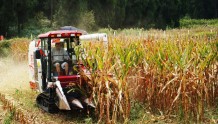 黔东南州持续加强农业科技创新助力现代农业发展