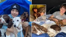 国外13岁男孩为帮助狗狗筹款 连续542个晚上睡帐篷