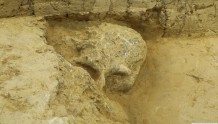 又一具古人类头骨化石被发现！