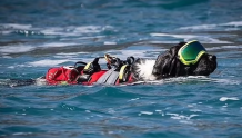 小英雄！ 水上救援幼犬将1.3吨重船拖回安全地带