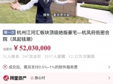 9034万，今年杭城法拍房最高总价诞生！599次叫价后终于落槌