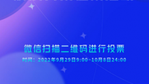 2022四川省网络综合治理数字化应用场景优秀解决方案网上投票通道正式开启