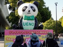 “我们会一直喜爱大熊猫”——日本民众庆祝大熊猫到来50周年