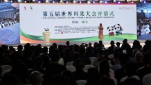 第五届世界川菜大会开幕 雅安市委书记发出邀请：来品川菜喝雅茶看熊猫