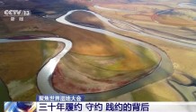 履约 守约 践约！中国加入《湿地公约》30年“成绩单”亮眼