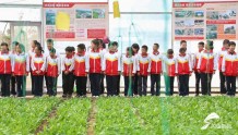 济南汶水学校：绿色实践 劳动教育 赋能学生全面发展