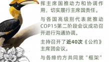 聚焦COP15-2 | 多样生物 共同守护 数读生物多样性保护的中国实践（人民网）