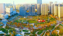 武汉又上新一座公园，市区又添宝藏新绿地