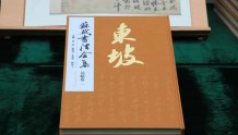 6年编撰，《苏轼书法全集》正式发布：苏轼的书法，诠释着他的“人生艺术”｜天府周末·封面