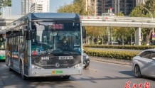 又一波“新面孔”亮相城市街头，武汉新能源公交占比增至八成