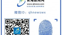 青海省国家级中小企业示范平台达11家